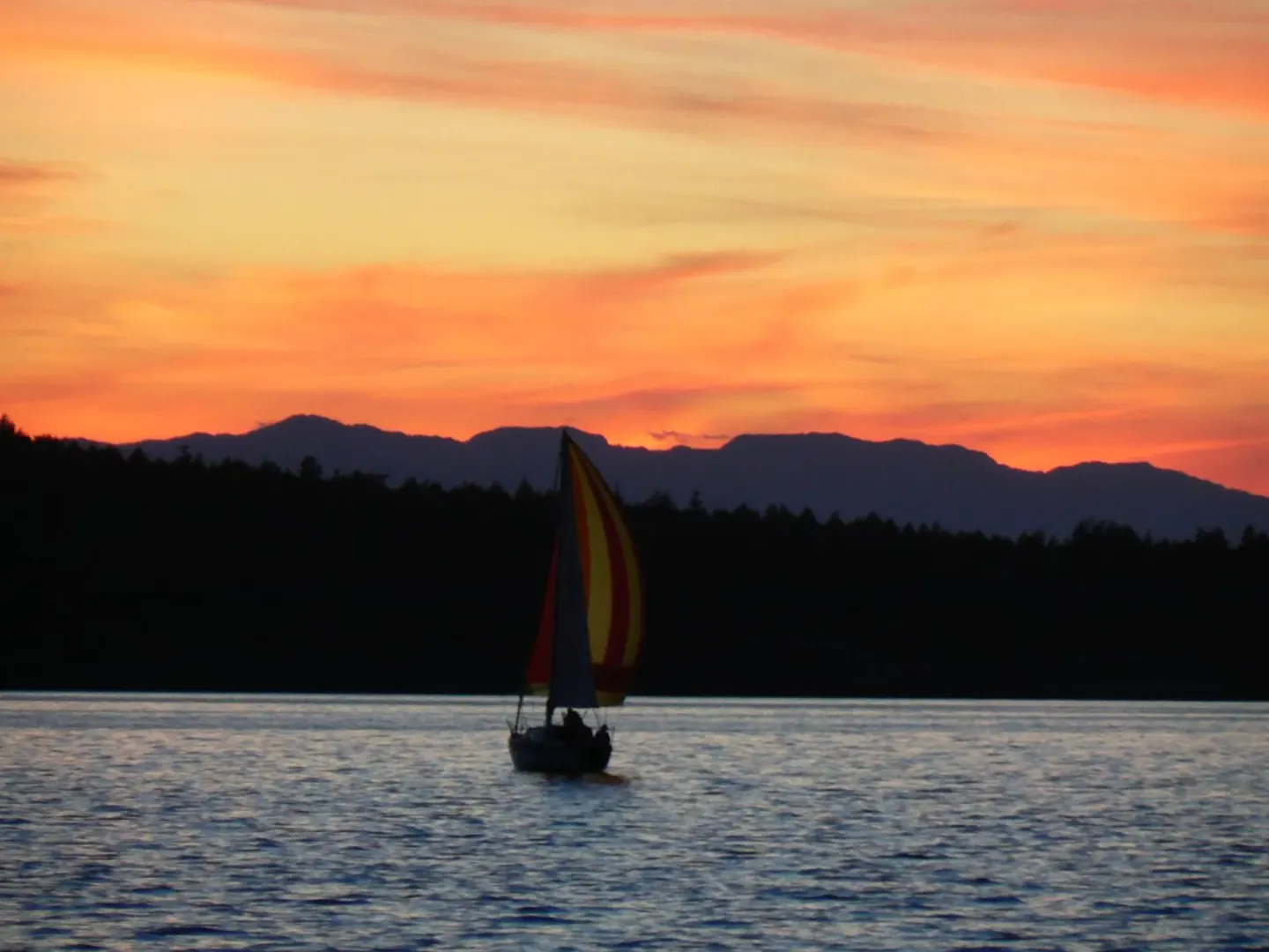 Sailboat silhouette on the water at sunset near The Green Iguana Hotel.
