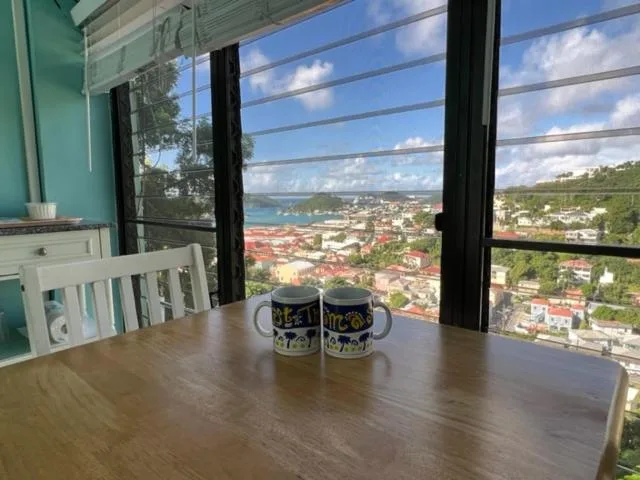 Table by large windows overlooking town and water at The Green Iguana Hotel.
