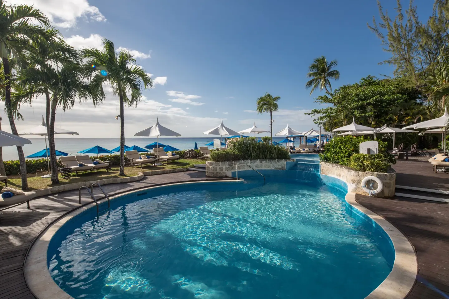 Curved swimming pool with loungers, umbrellas, palms, and ocean beyond at The House.