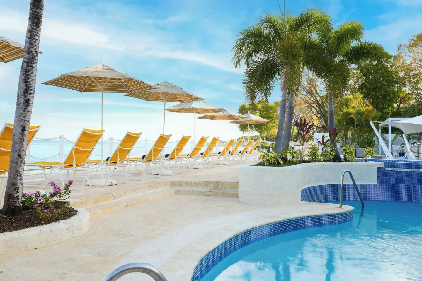 Pool edge with yellow loungers, umbrellas and palm trees by the sea at The House.