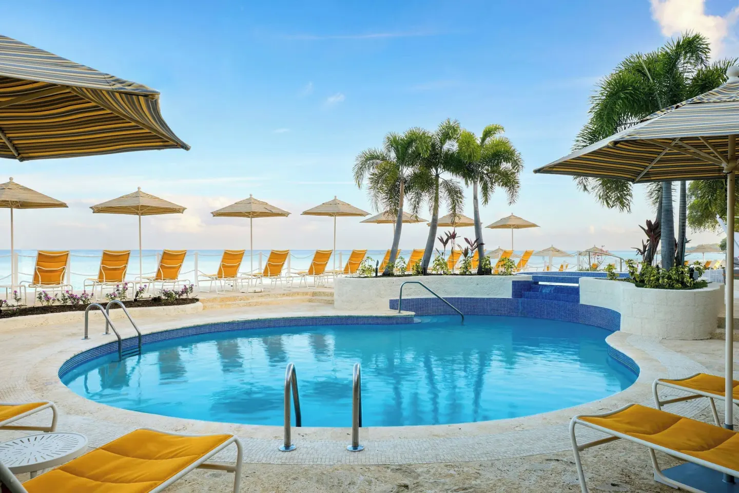 Round pool with yellow loungers, umbrellas, palms and ocean beyond at The House.