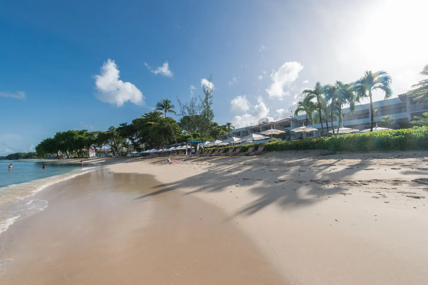 Wide sandy beach with palms, loungers, and resort buildings at The House.