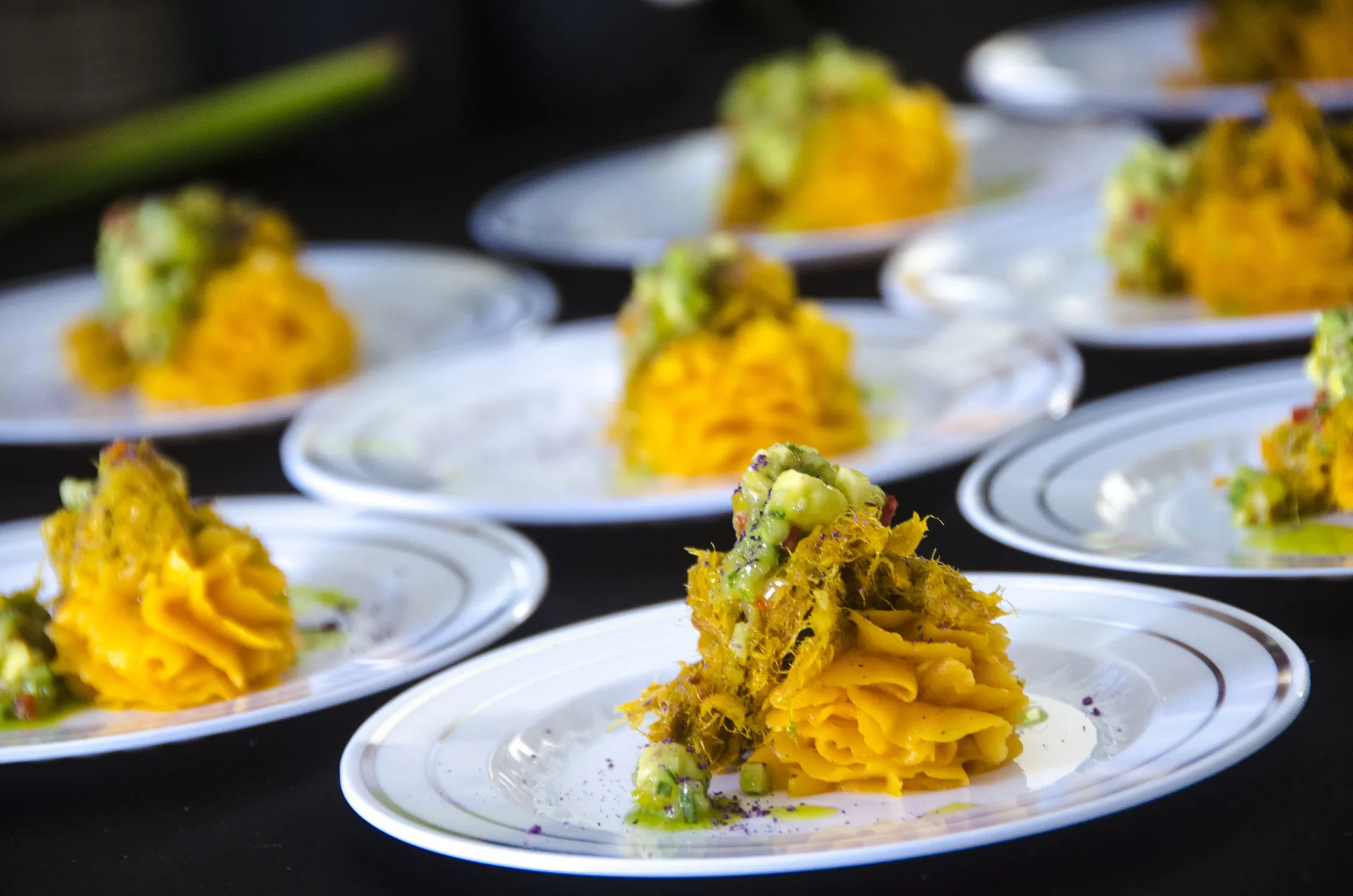 Plated pasta dishes with green garnish arranged for service at The House.