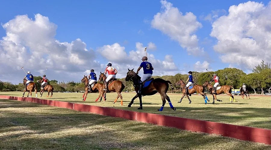 Barbados Polo Club 15 Min Walk