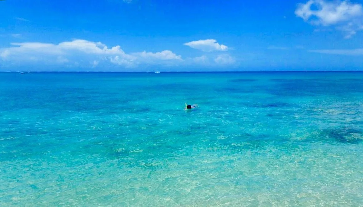 Paynes Bay Beach 1 Min Walk