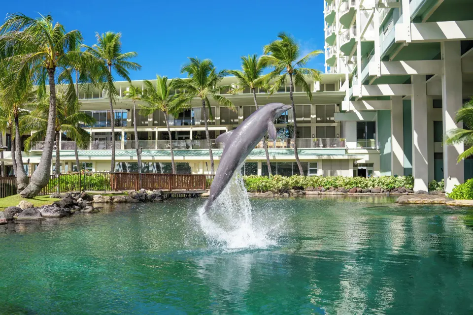 Dolphin jumping in the lagoon beside guest room balconies at The Kahala Hotel & Resort.