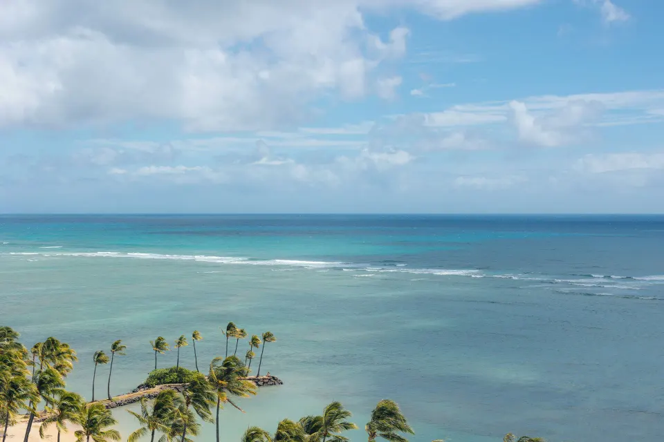 Ocean and palm trees seen from Tower Suite II at The Kahala Hotel & Resort.