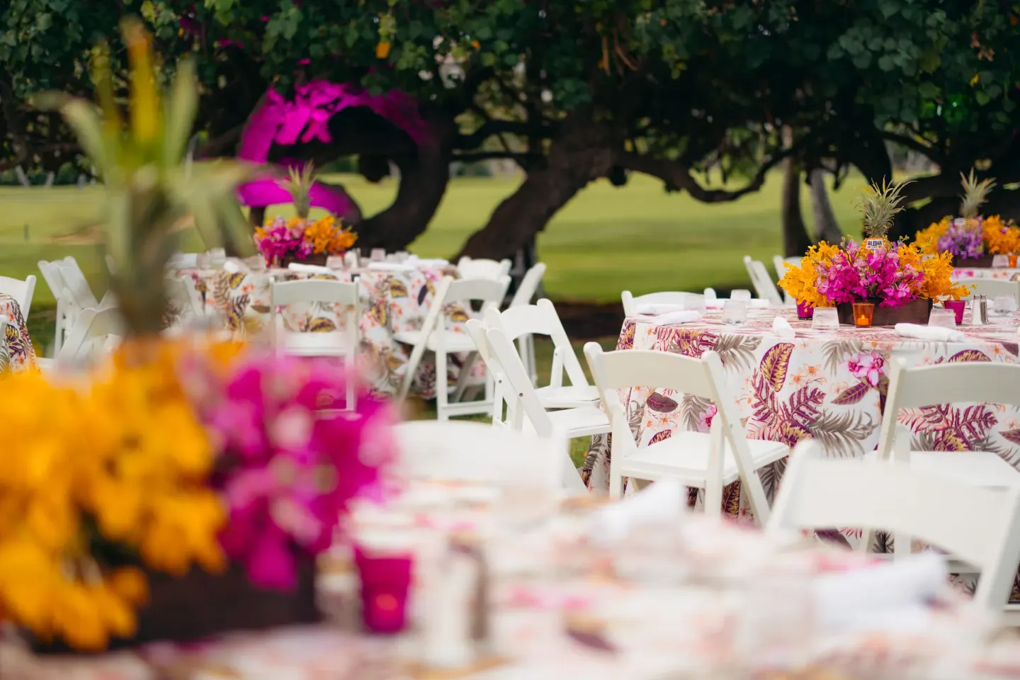 Koko Head Ocean Lawn Venue at The Kahala Hotel & Resort
