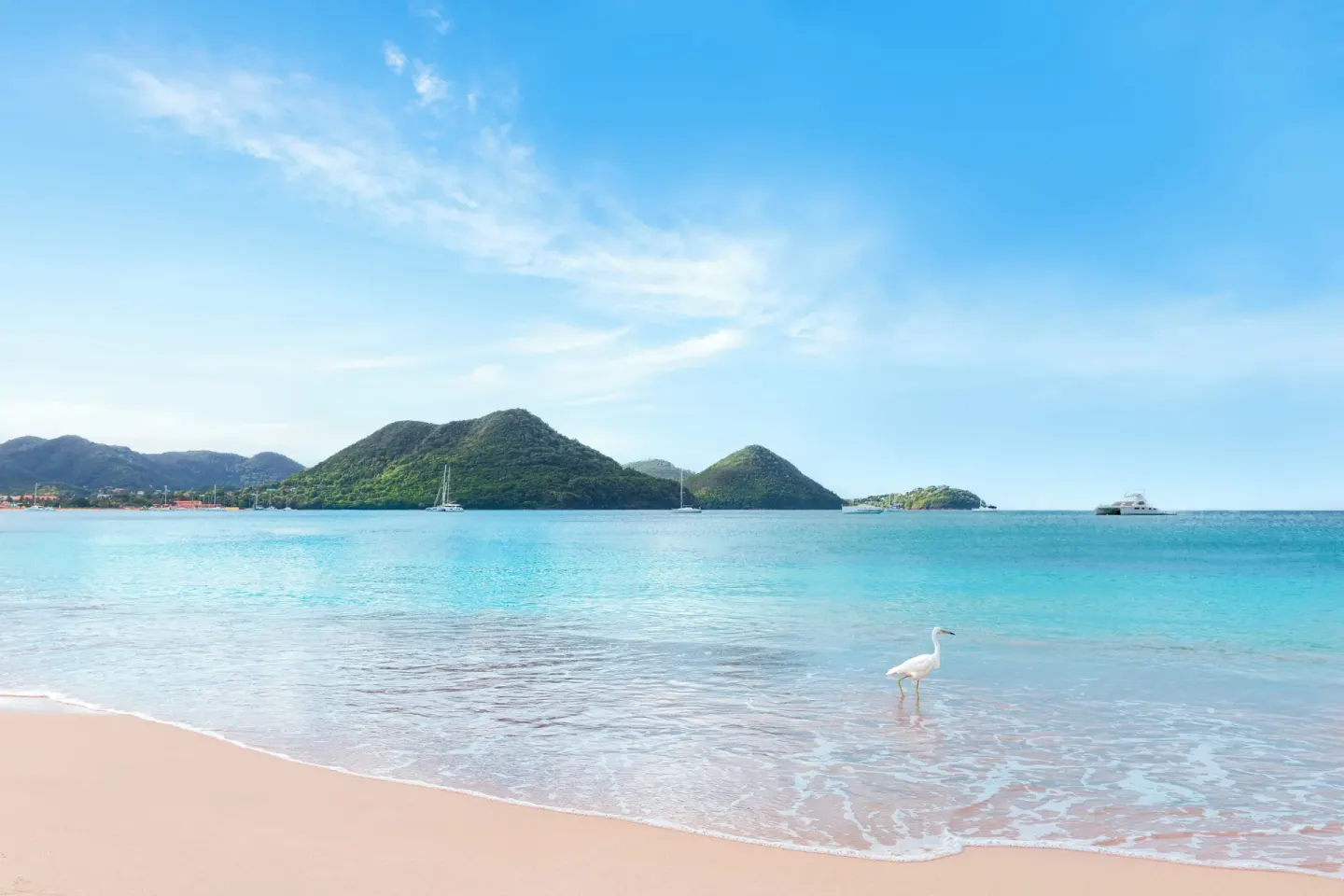 A white bird stands in shallow turquoise surf at The Landings Resort & Spa.