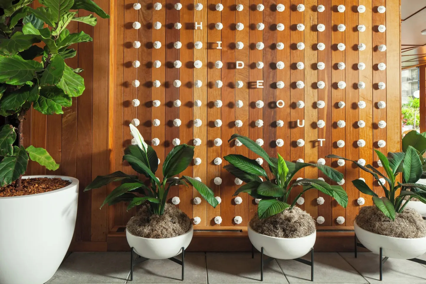 Hideout wall with potted plants at The Laylow Waikiki, Autograph Collection.