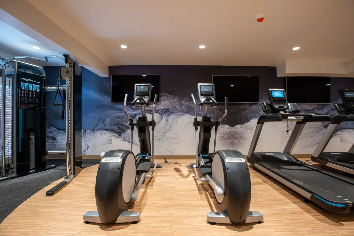 Ellipticals, treadmills and cable equipment in the gym at The Morgan Resort Spa Village.
