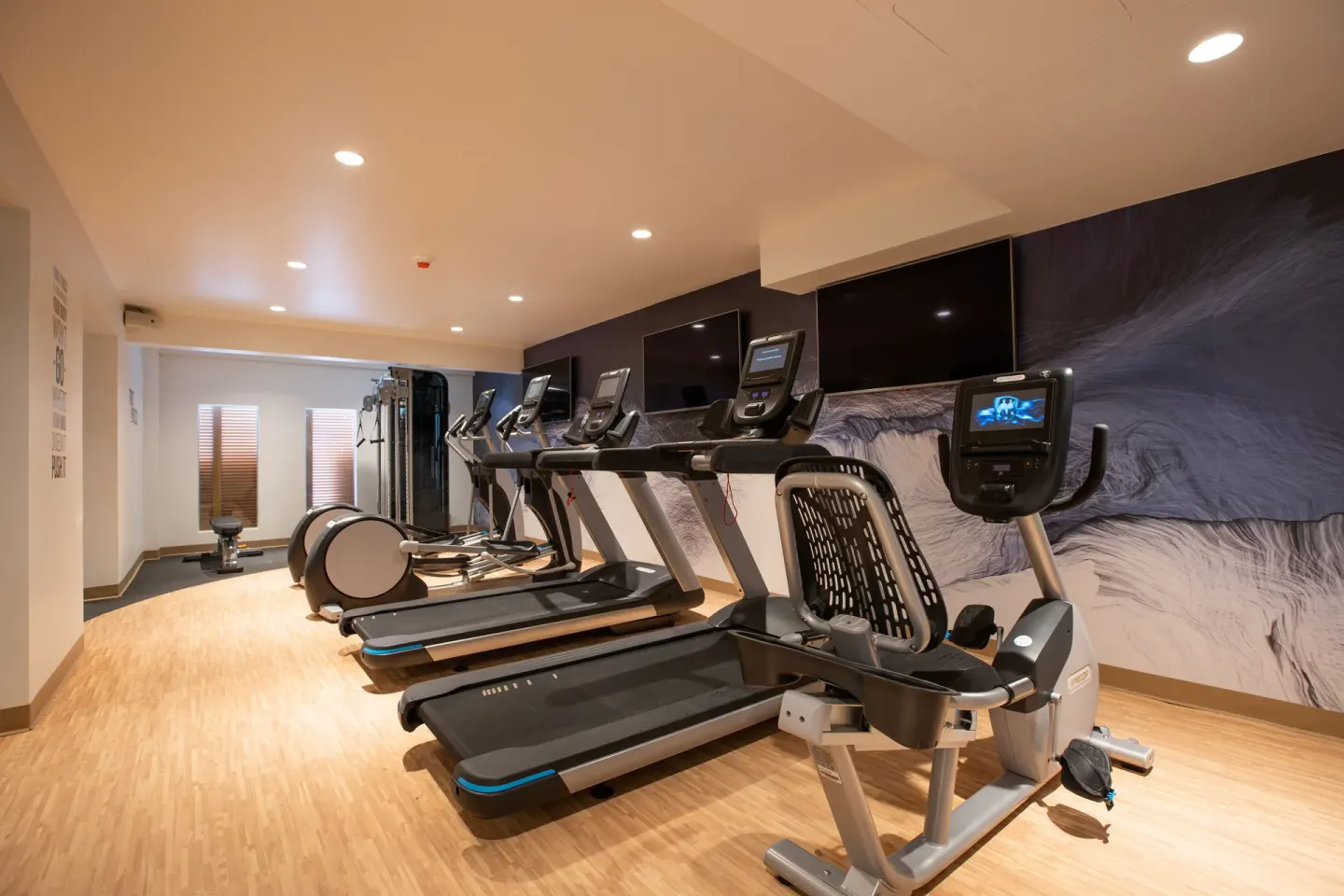 Row of treadmills and cardio machines in the gym at The Morgan Resort Spa Village.