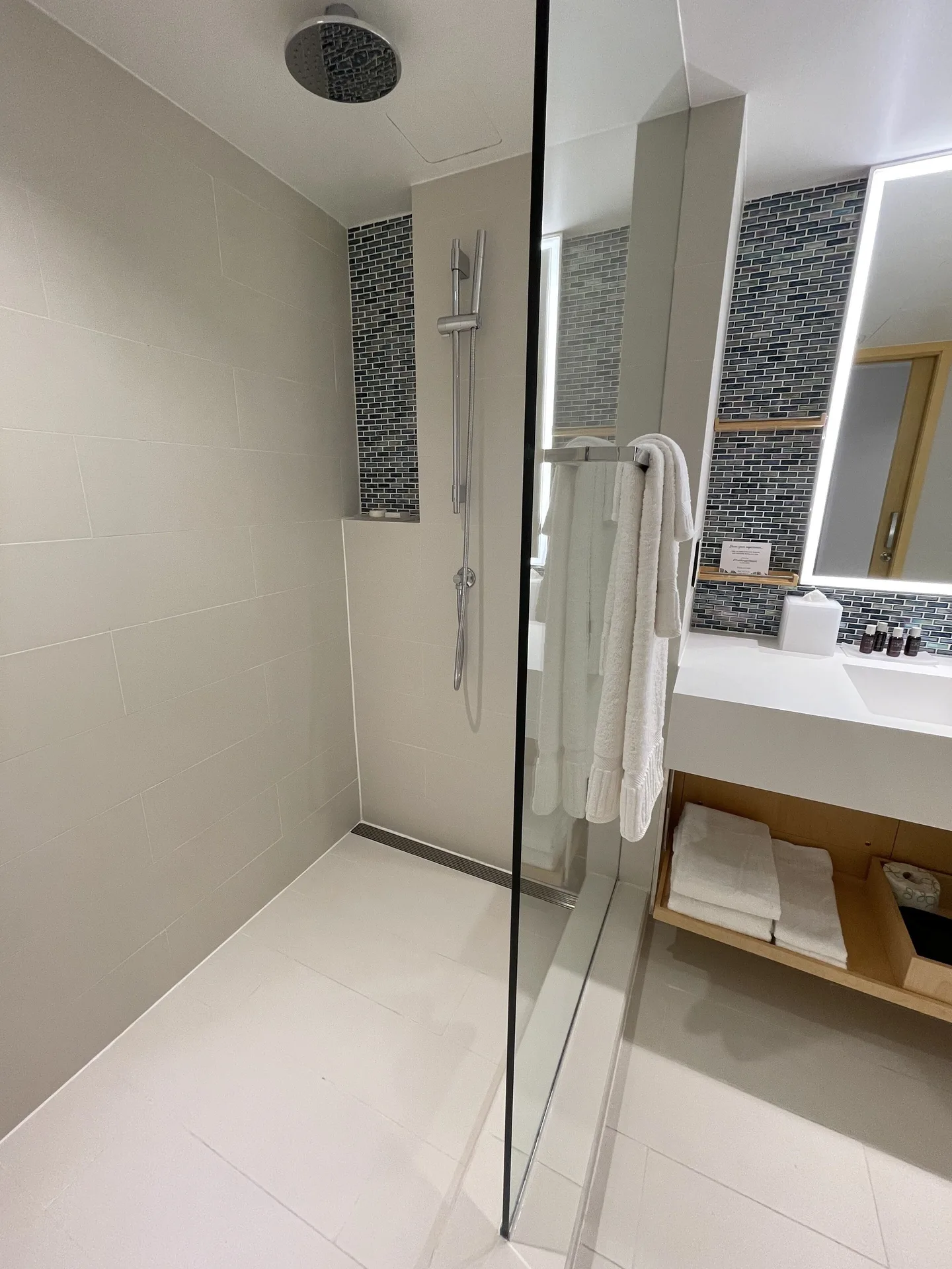 Walk-in shower and vanity in a Runway View Guestroom at The Morgan Resort Spa Village.