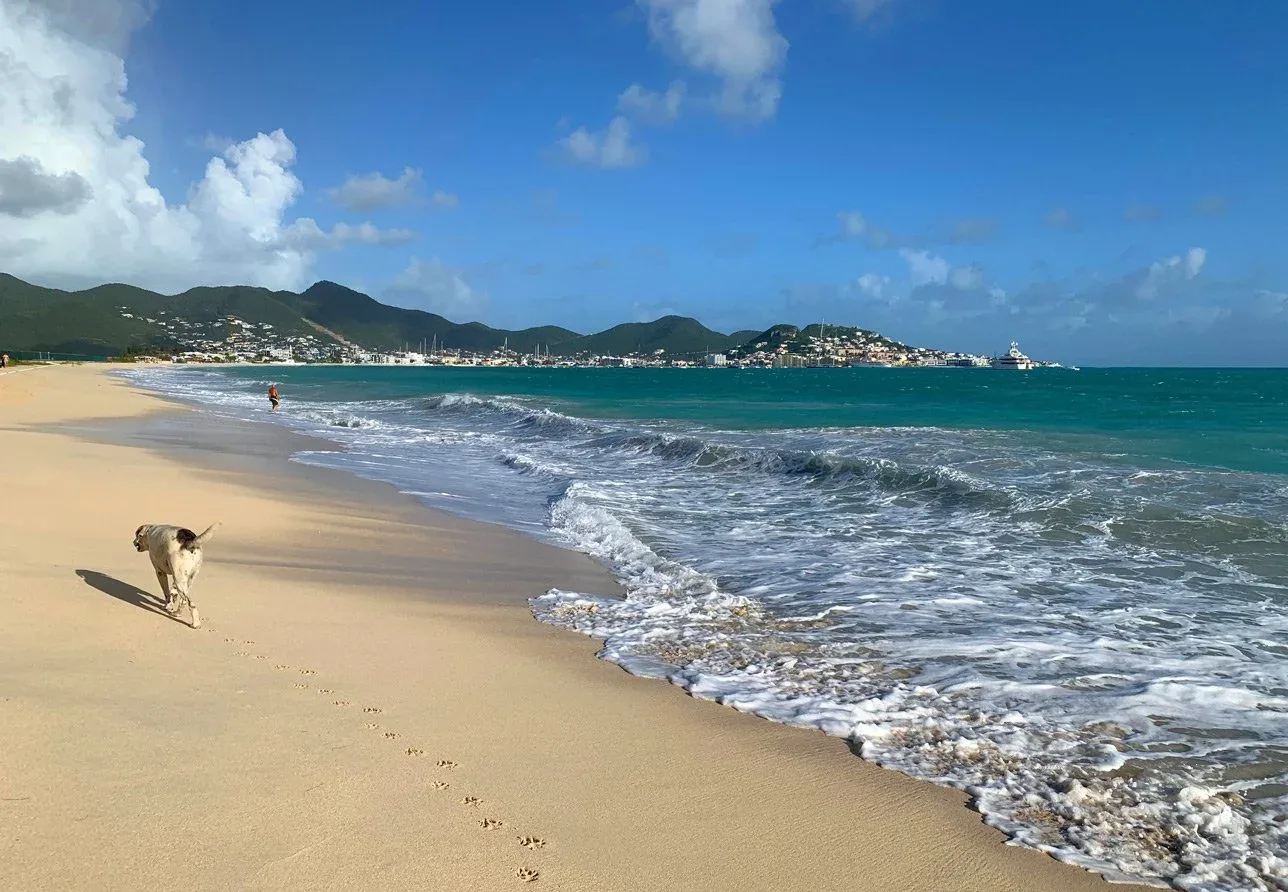 Maho Bay 1 Min Walk