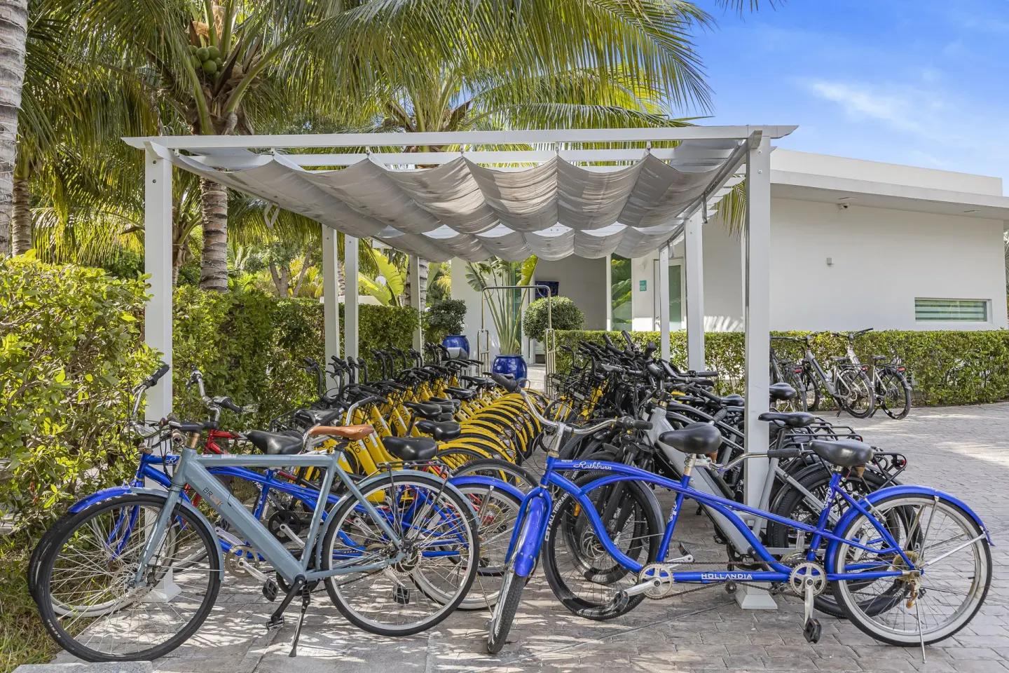 Rows of bicycles under a canopy near the resort grounds at The Oasis at Grace Bay.