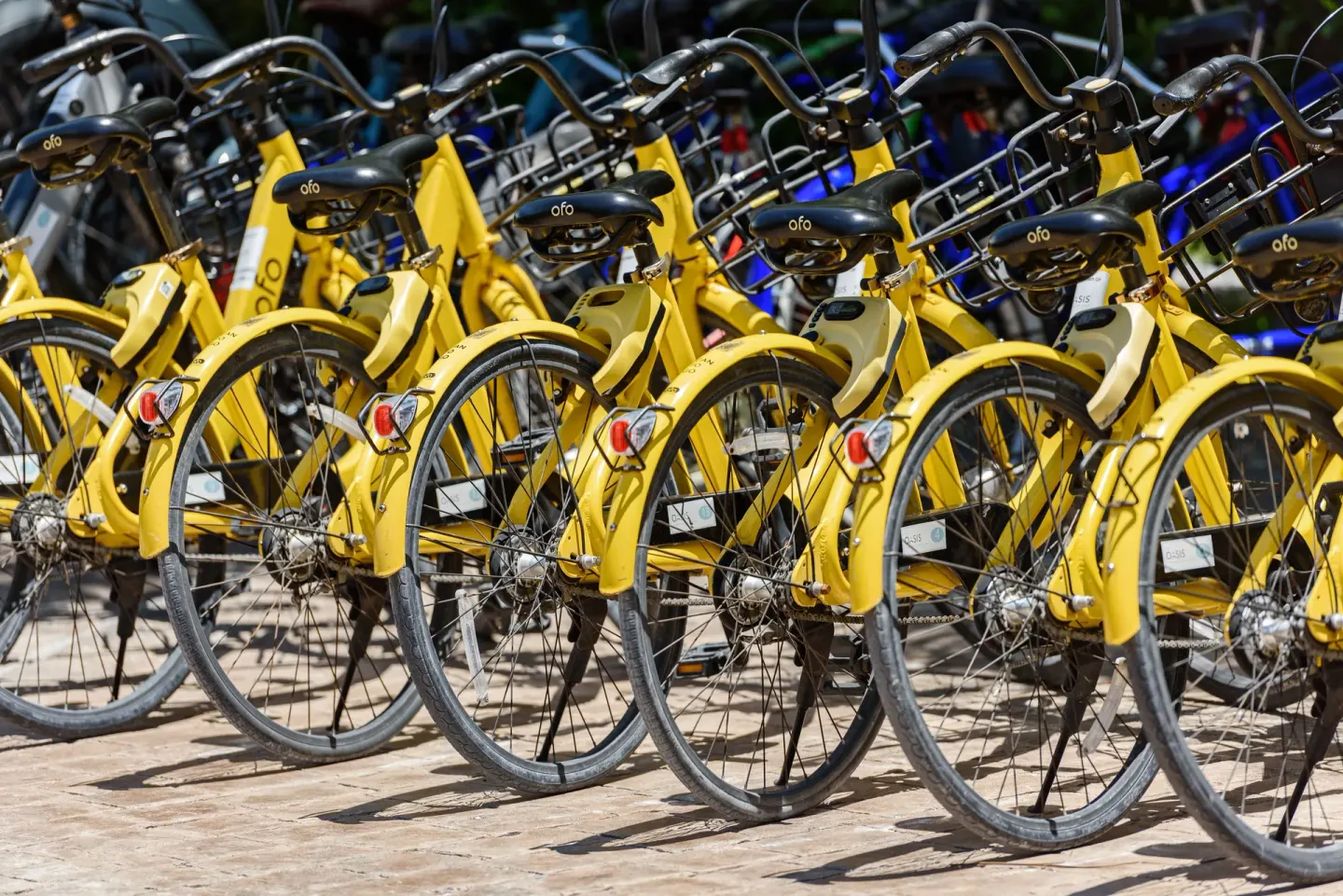 Rows of yellow bicycles parked together at The Oasis at Grace Bay.