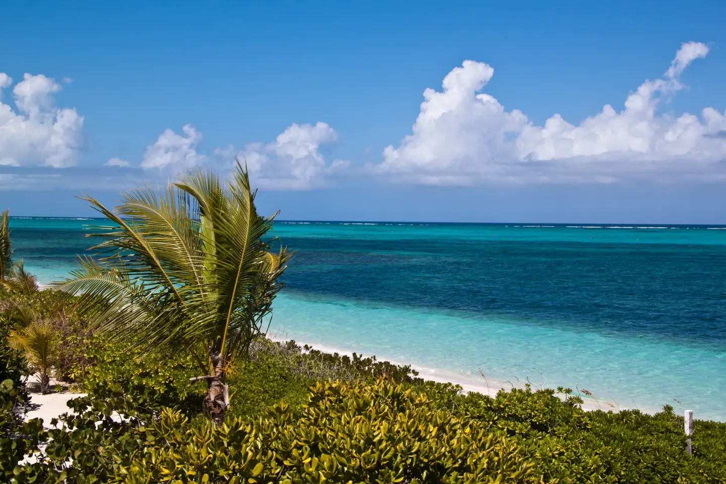 Lucayan Archipelago 1 Min Walk