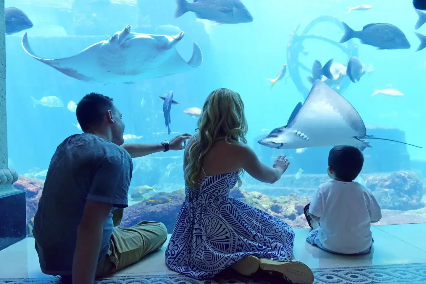 A family watches rays and fish through a large aquarium window at The Reef at Atlantis.