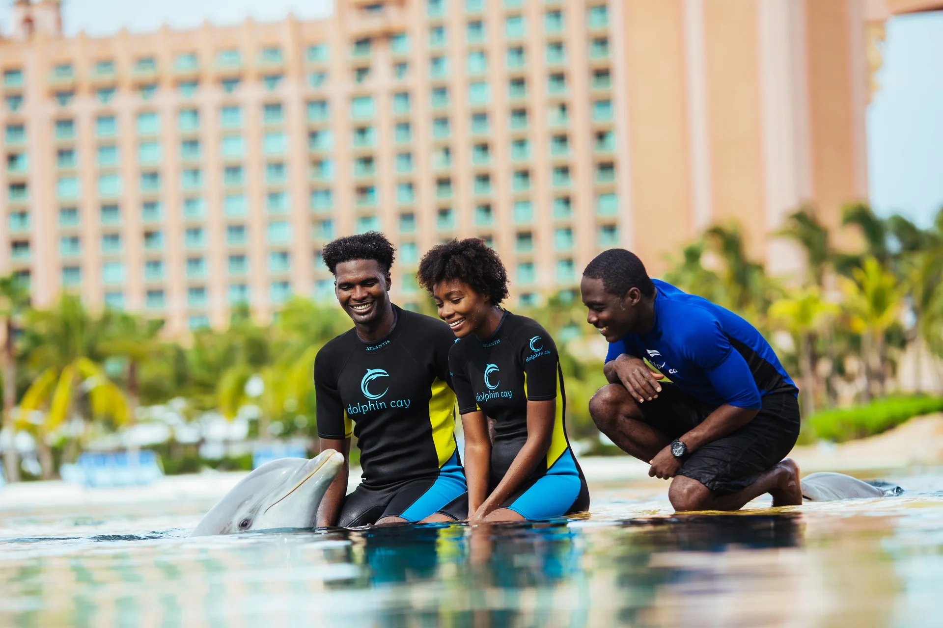 Guests meet a dolphin with a trainer in shallow water at The Reef at Atlantis.