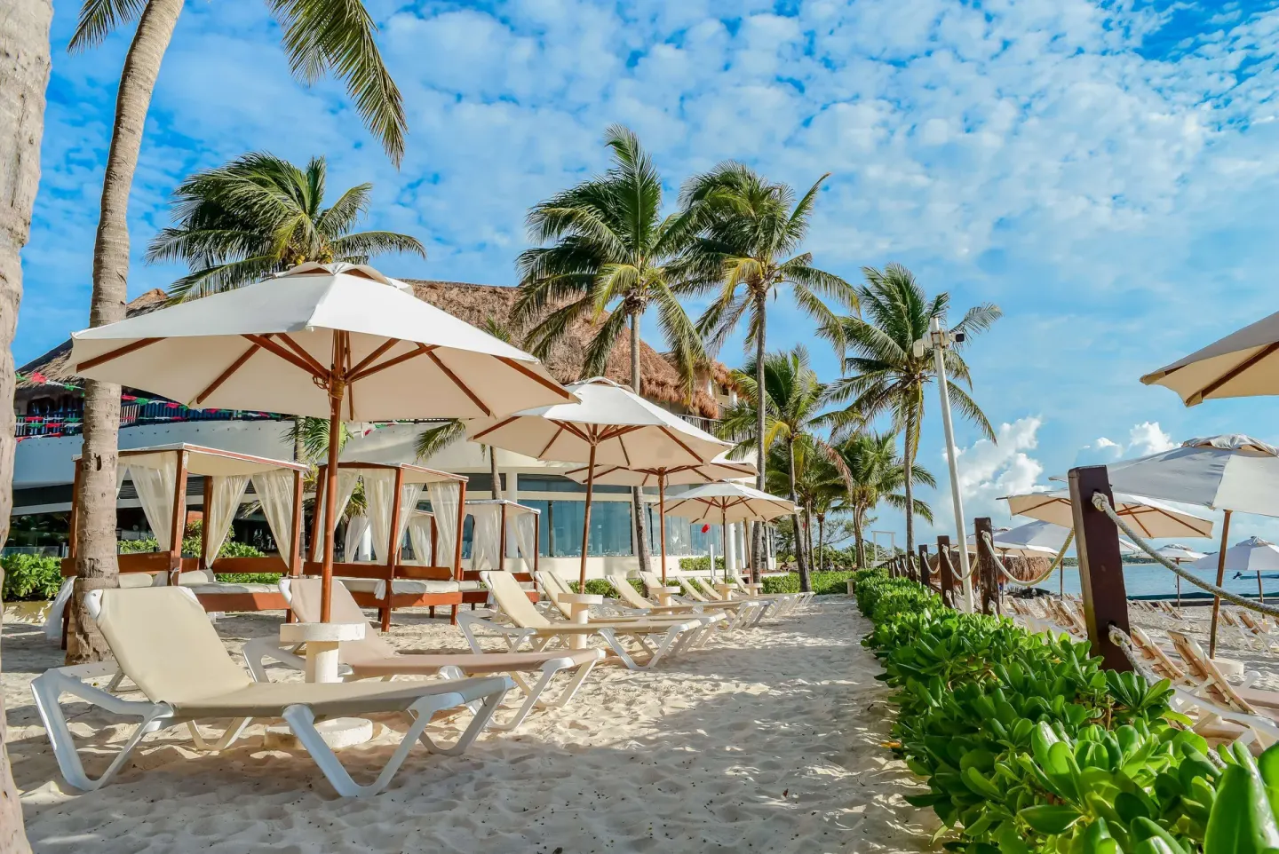 Rows of beach loungers and umbrellas beside palms at The Reef Coco Beach Resort & Spa.