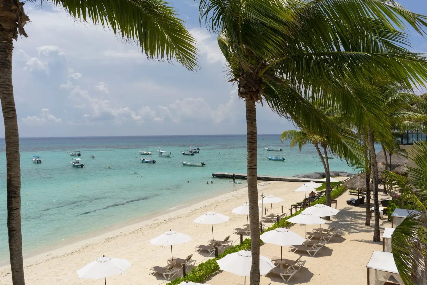 Palm-lined beach with loungers and umbrellas at The Reef Coco Beach Resort & Spa.