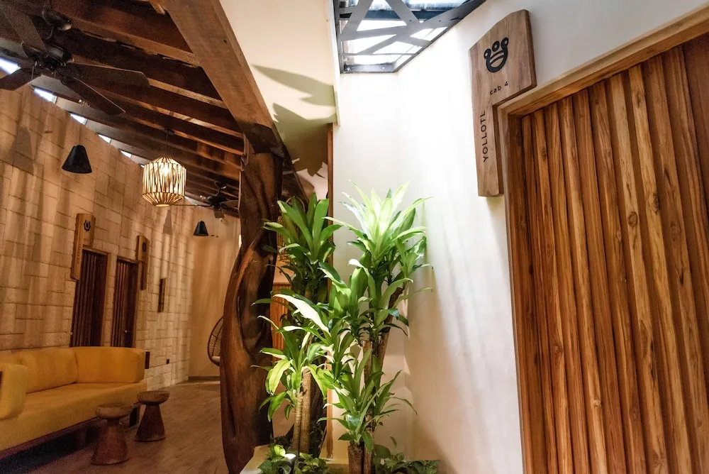 Spa corridor with wooden sliding door, signage and plants at The Reef Playacar Beach Resort & Spa