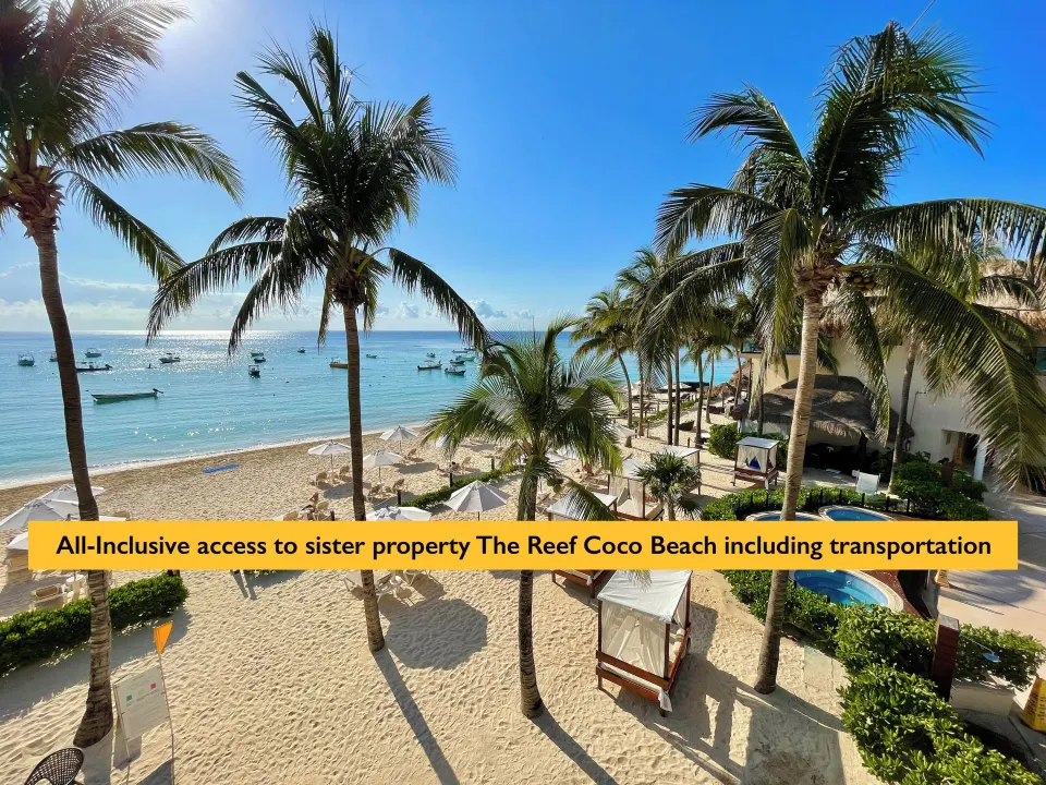 Sunny white-sand beach and palm trees overlooking calm turquoise water at The Reef Playacar Beach Resort & Spa