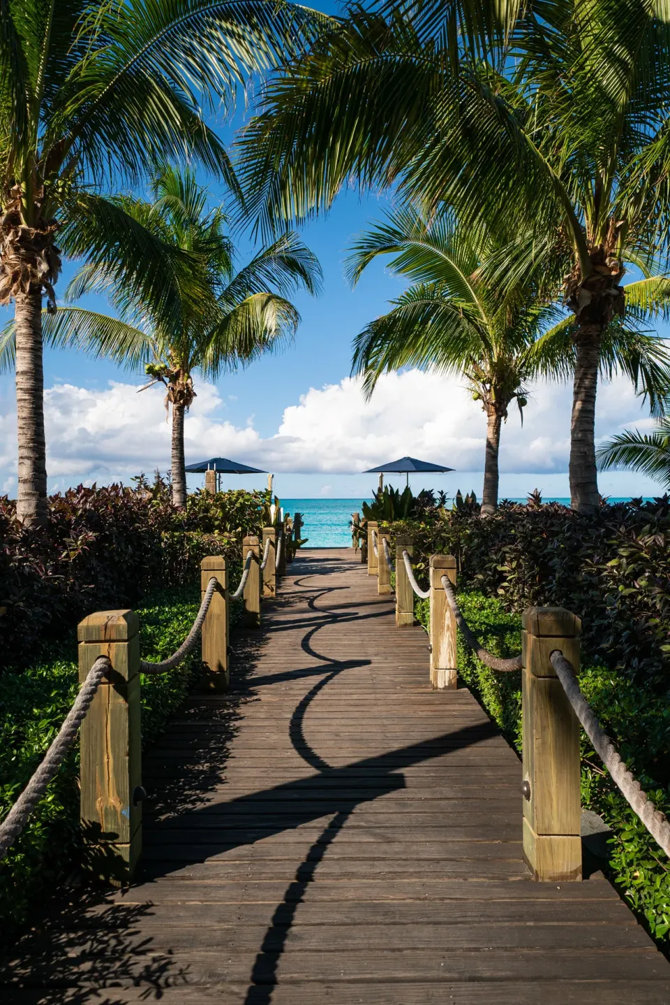 Palm-lined boardwalk to the beach at The Regent Grand with ocean beyond.