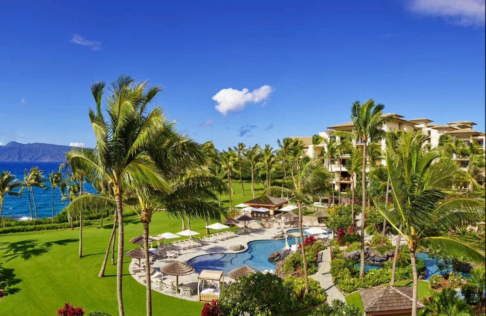 Pool and ocean view with palm trees and resort grounds at The Resort at Kapalua Bay, Maui