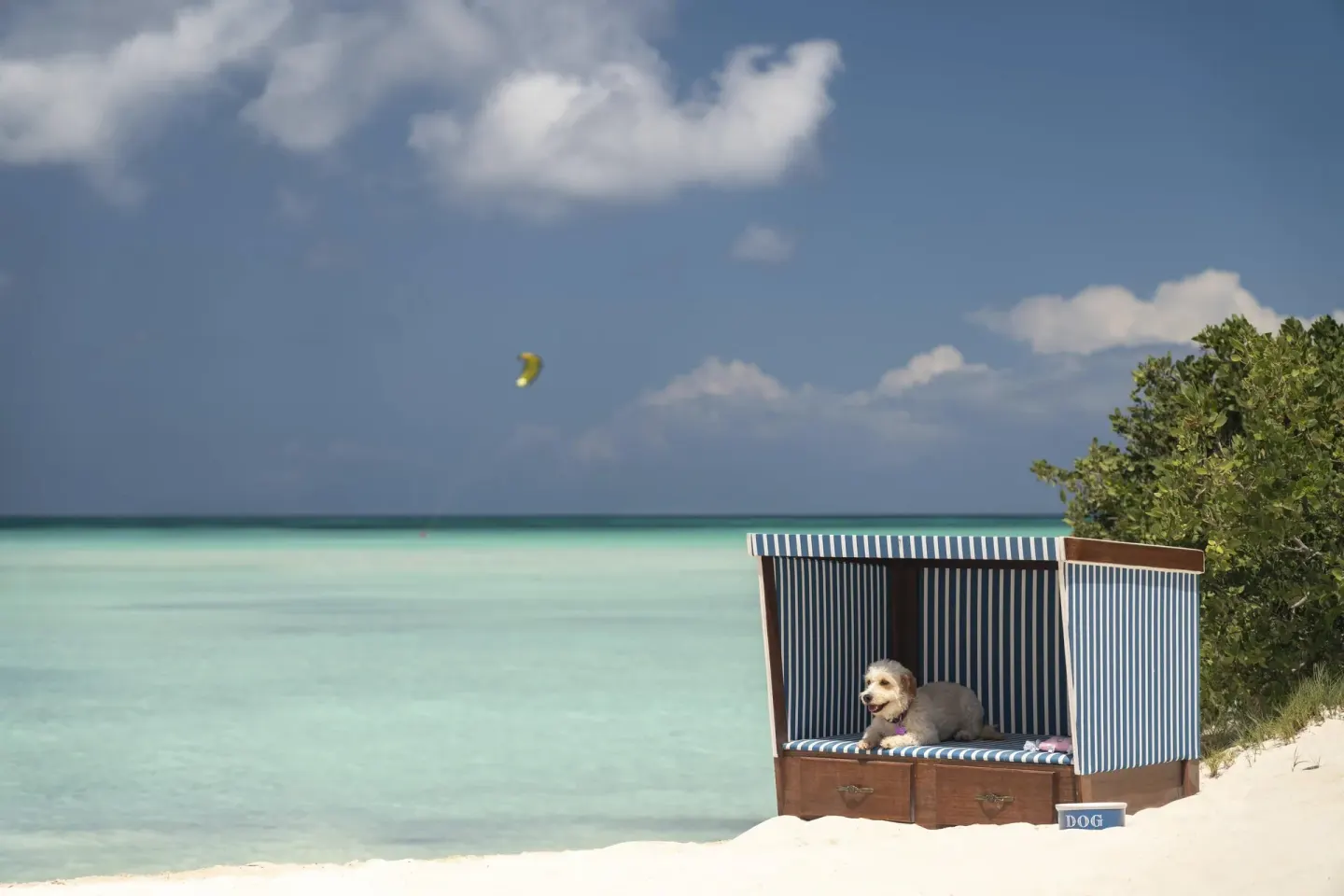 A dog rests in a striped beach cabana by the sea at The Ritz-Carlton, Aruba.