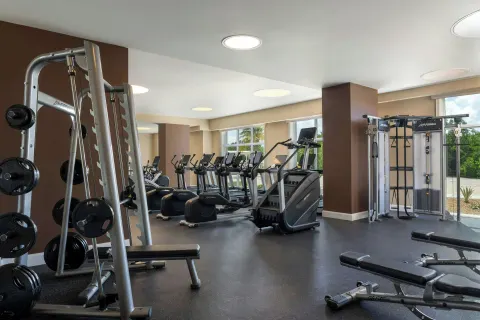 Fitness center with treadmills, weight plates, and strength equipment at The Ritz-Carlton, Aruba.