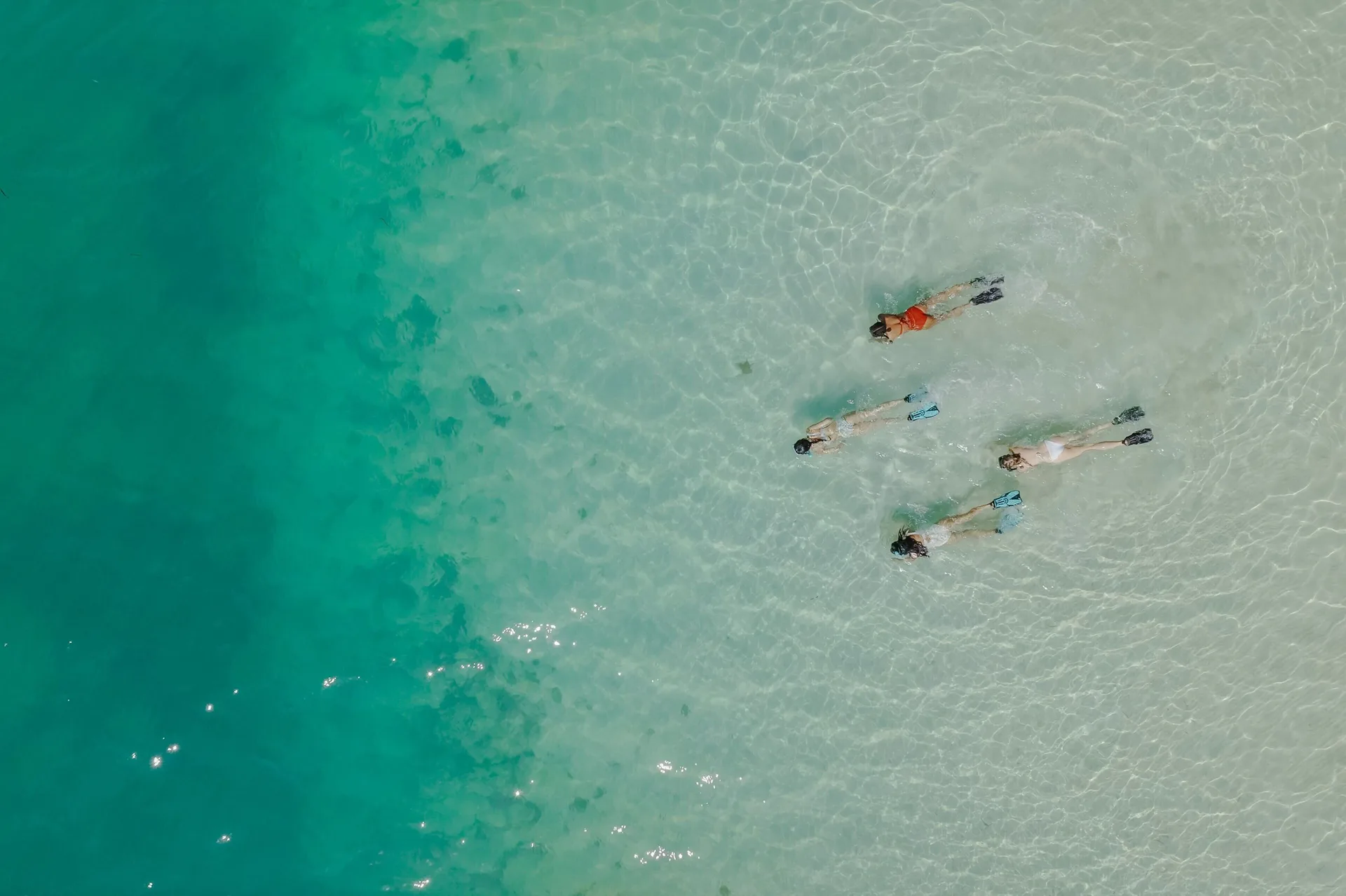 Four snorkelers float in shallow turquoise water near The Ritz-Carlton, Grand Cayman.