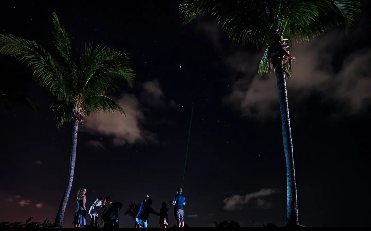 Guests stargaze between tall palms at night at The Ritz-Carlton, Grand Cayman.