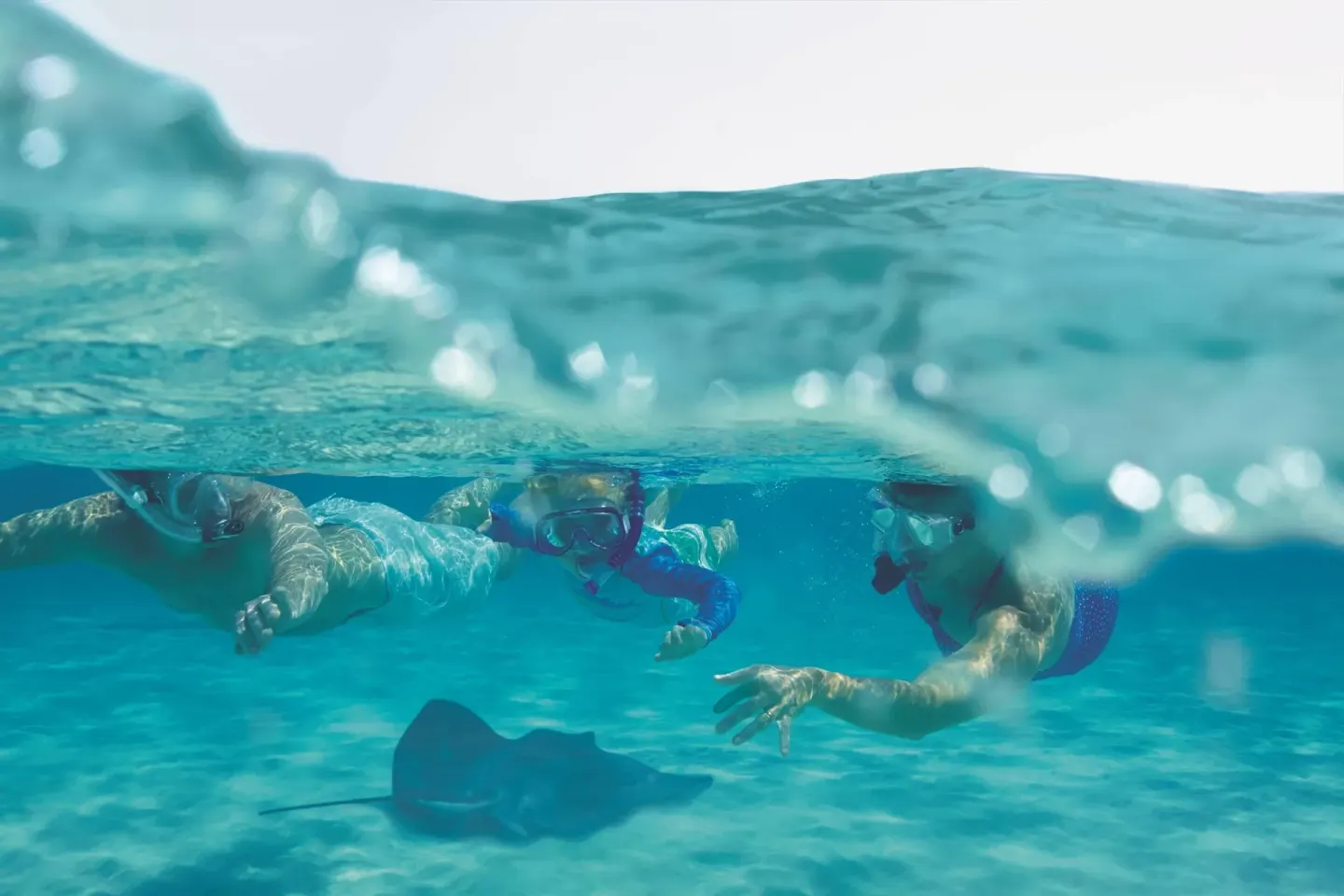 Snorkelers watch a stingray in shallow water at The Ritz-Carlton, Grand Cayman.