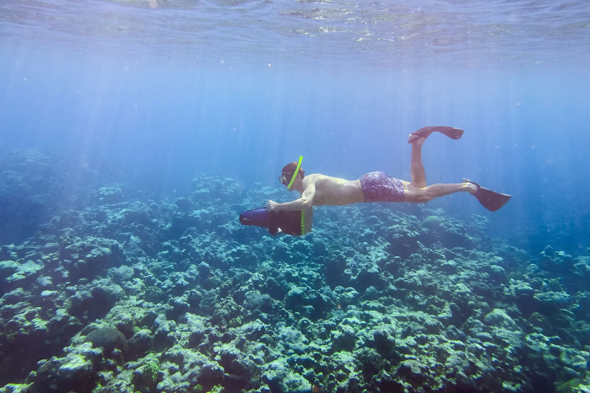 A snorkeler swims over coral in clear blue water at The Ritz-Carlton, Grand Cayman.