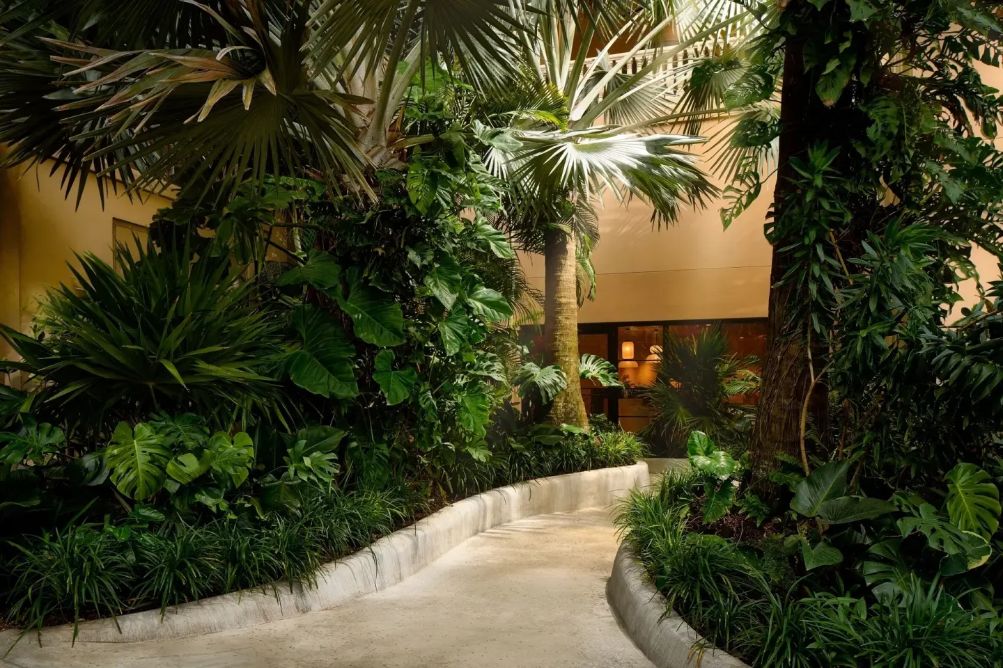Curving garden walkway among palms at The Ritz-Carlton, Grand Cayman.