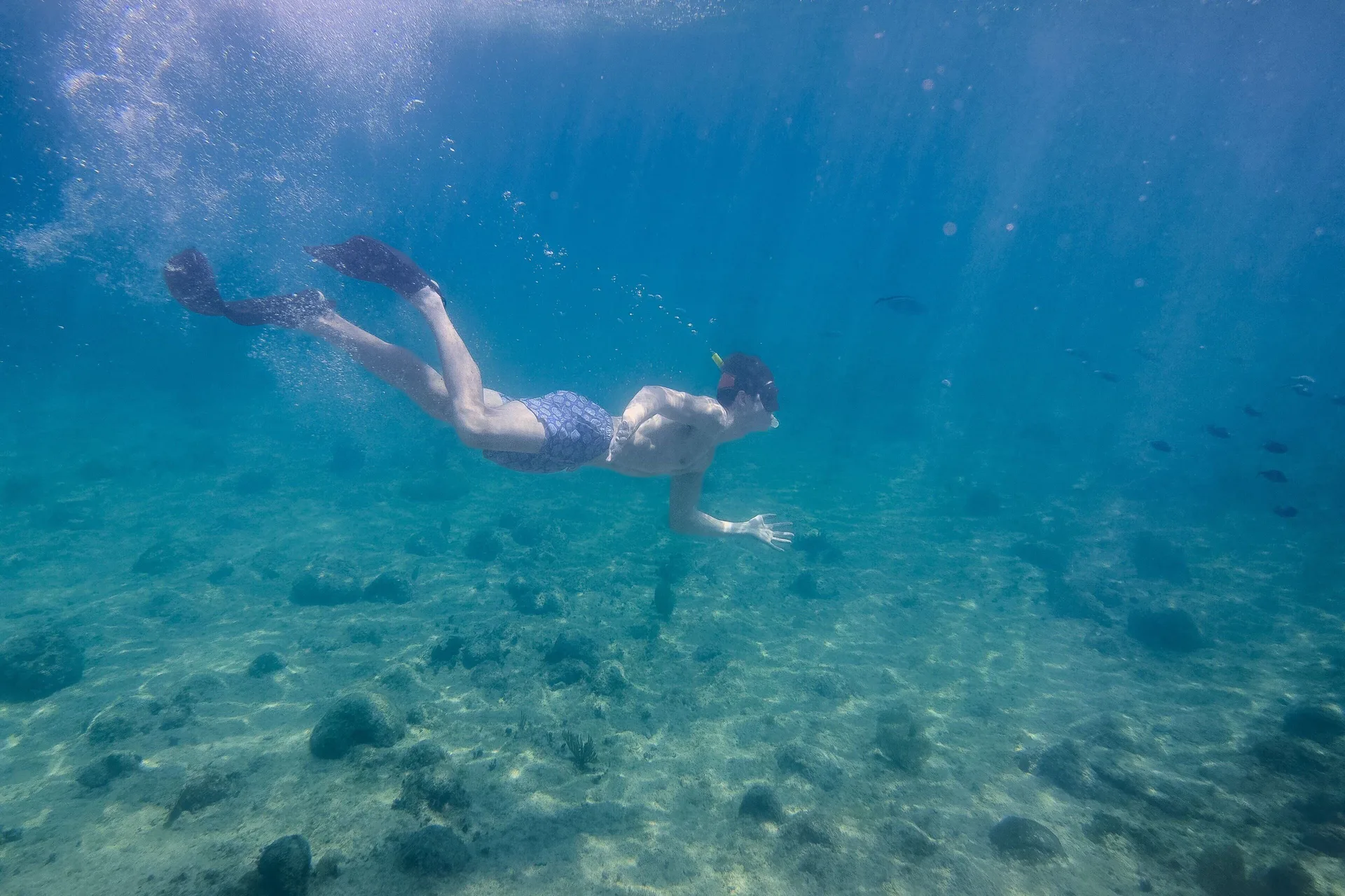 A snorkeler swims underwater in clear blue water near The Ritz-Carlton, Grand Cayman.