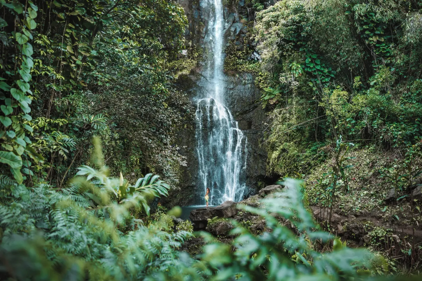 Forest waterfall surrounded by lush greenery near The Ritz-Carlton Maui, Kapalua.