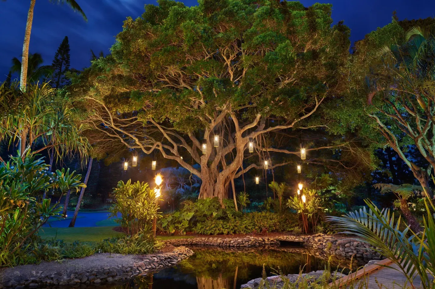 Illuminated banyan tree and pond at night at The Ritz-Carlton Maui, Kapalua.