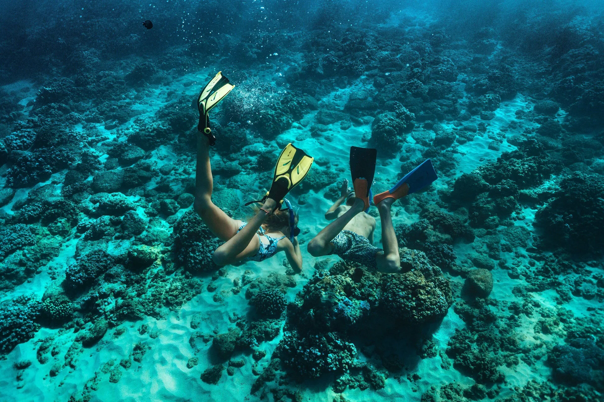 Two snorkelers swim above coral in clear water near The Ritz-Carlton Maui, Kapalua.