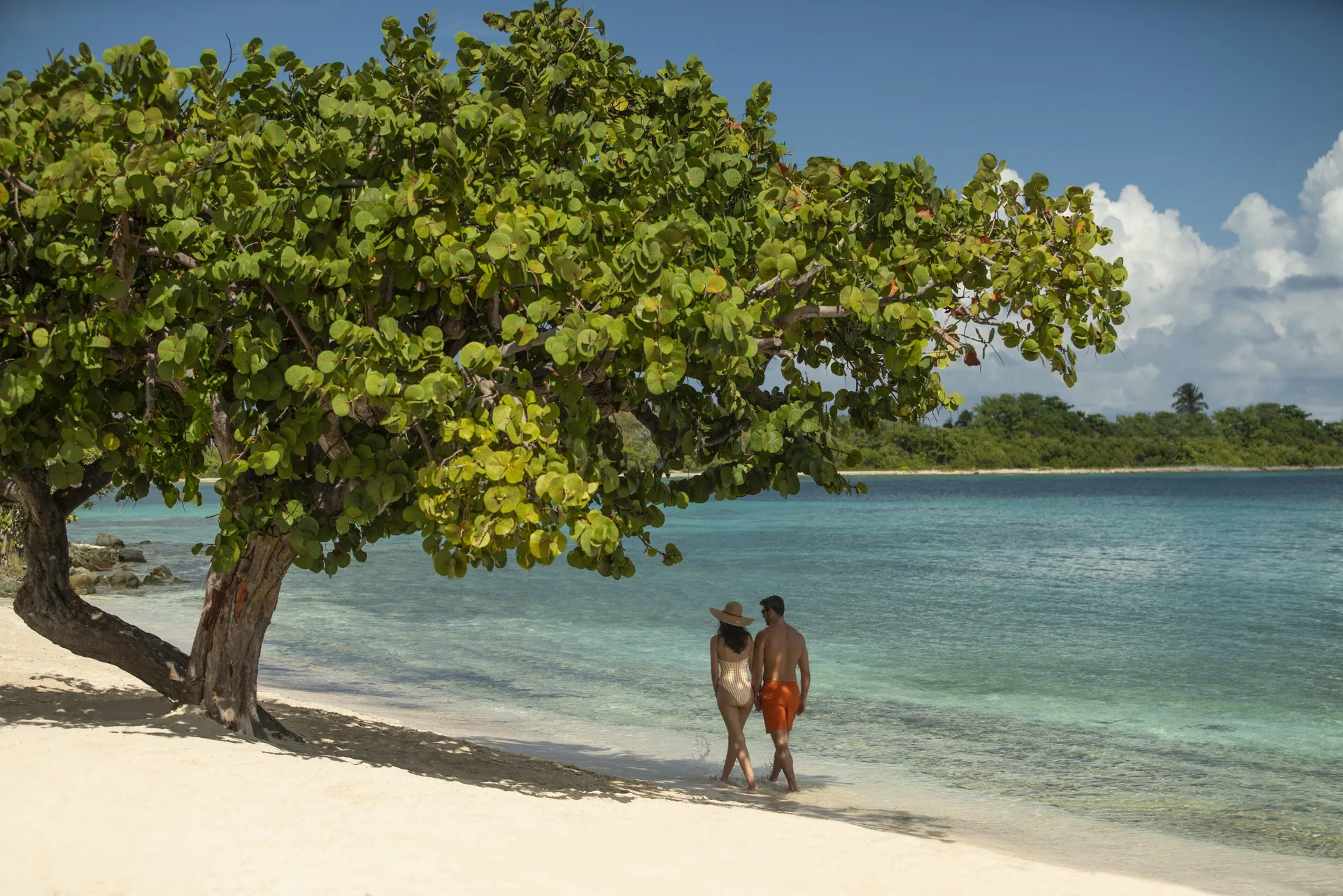 Couple walking along the beach under a leafy tree at The Ritz-Carlton, St. Thomas.