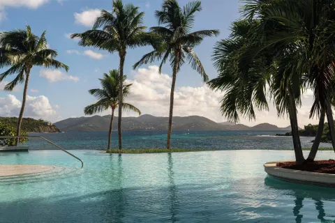 Infinity pool with palm trees and island views at The Ritz-Carlton, St. Thomas.