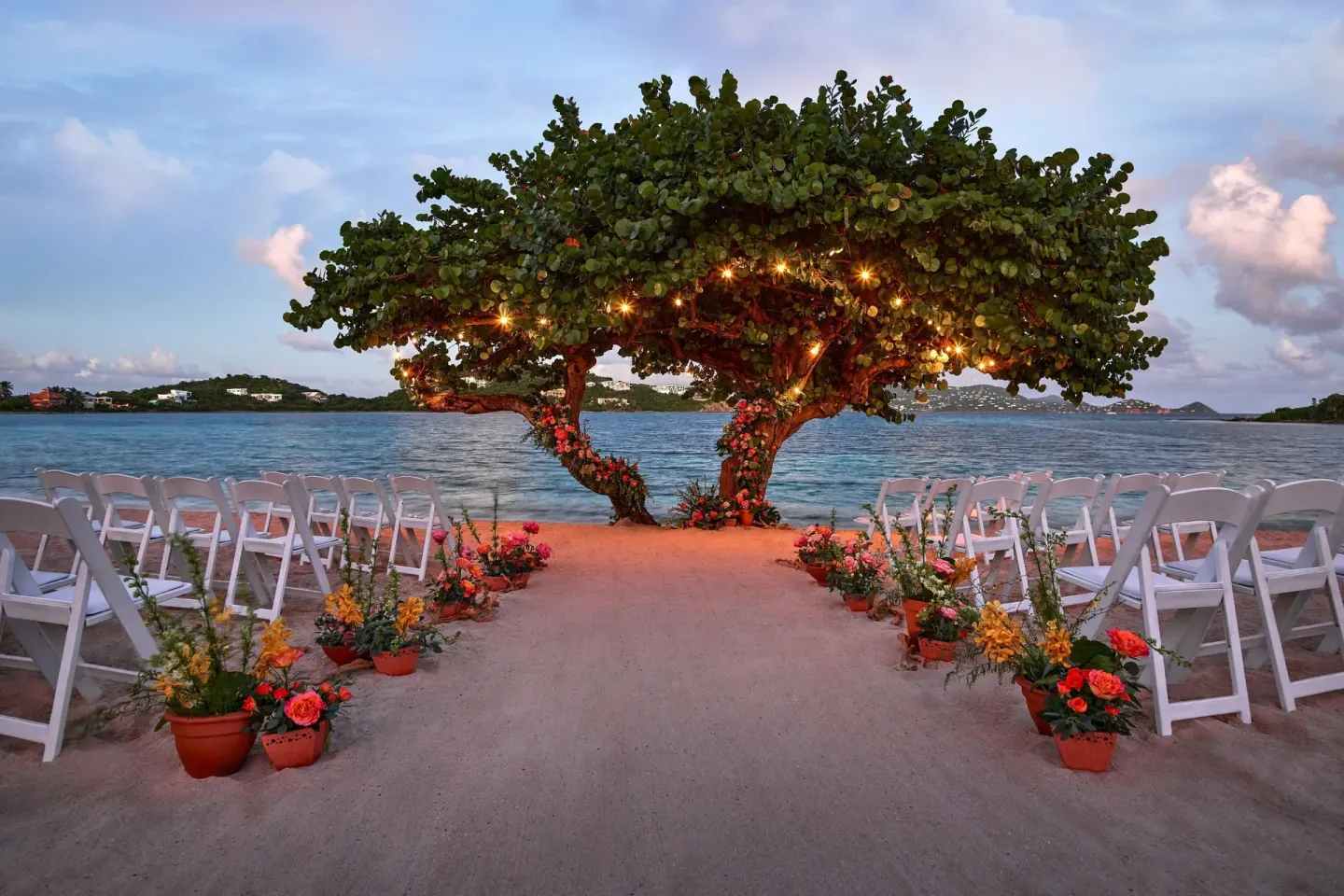 Beach wedding aisle beneath a lit sea grape tree at The Ritz-Carlton, St. Thomas.