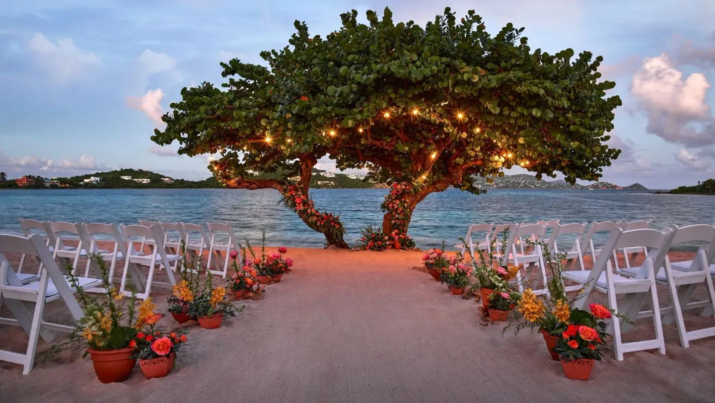 Sea Grape Trees Venue at The Ritz-Carlton, St. Thomas