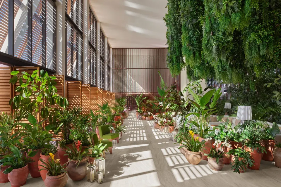 Sunlit indoor garden corridor at The Riviera Maya EDITION At Kanai.