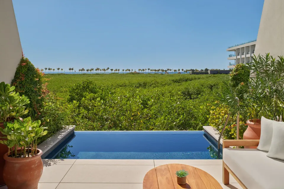 Private terrace plunge pool with garden and ocean view at The Riviera Maya EDITION At Kanai.