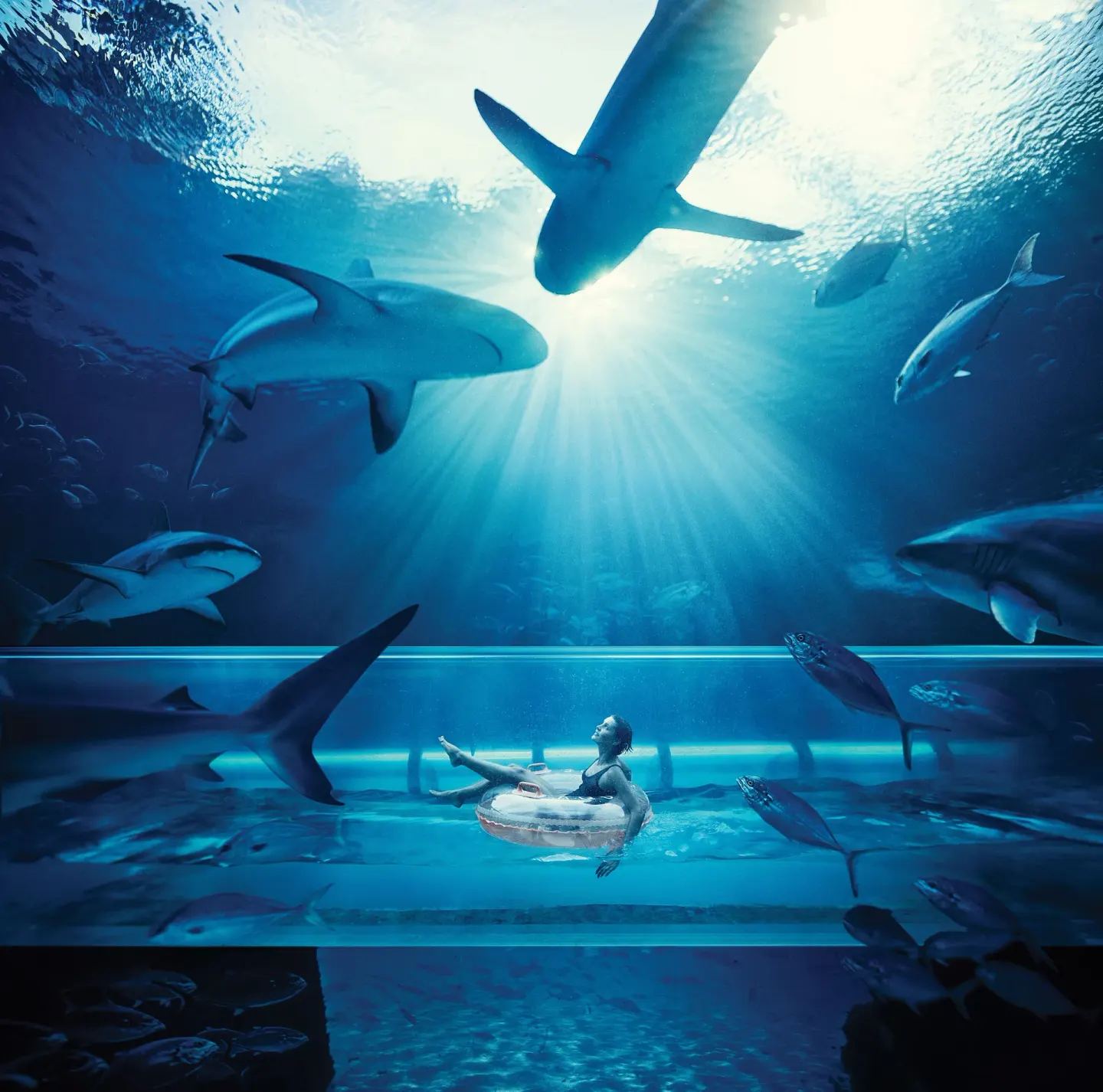A guest floats through a shark-filled aquarium tunnel at The Royal at Atlantis.