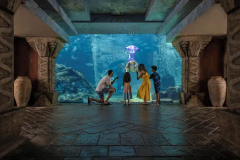 A family watches marine life through a large aquarium window at The Royal at Atlantis.