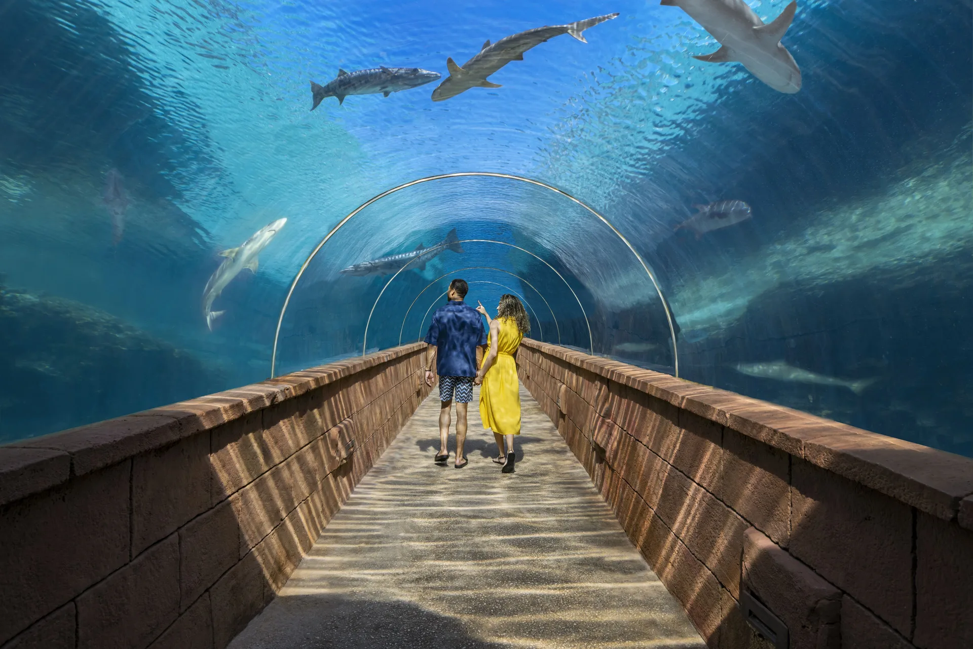 Guests walk through an underwater aquarium tunnel at The Royal at Atlantis.