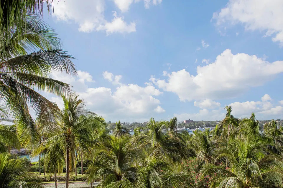 Terrace View balcony outlook over palm trees and blue sky at The Royal at Atlantis.